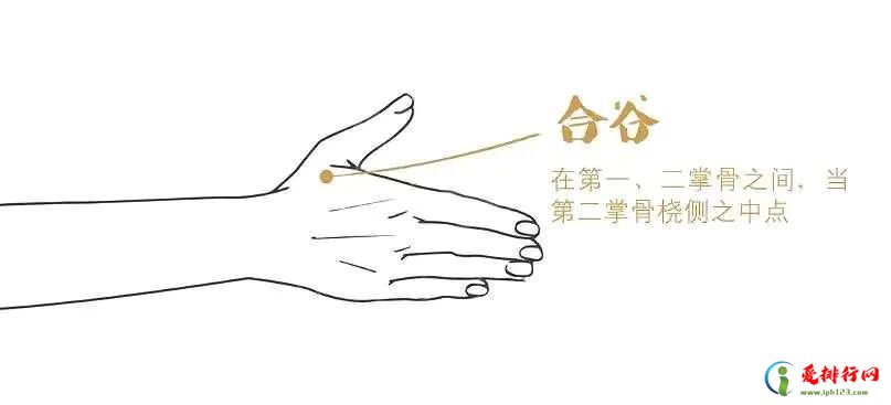 人体十大穴位能治病,十大常见穴位图解与功效