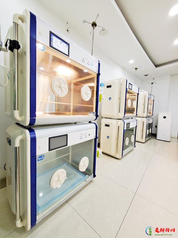 杭州负责的宠物医院：虹泰宠物医院医师团队人物访谈专访篇