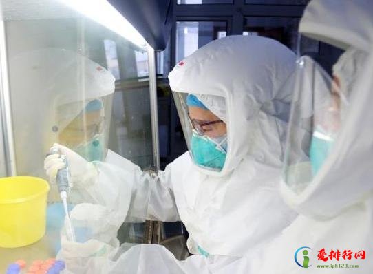 核酸检测的结果网上和纸质版哪个先出？核酸检